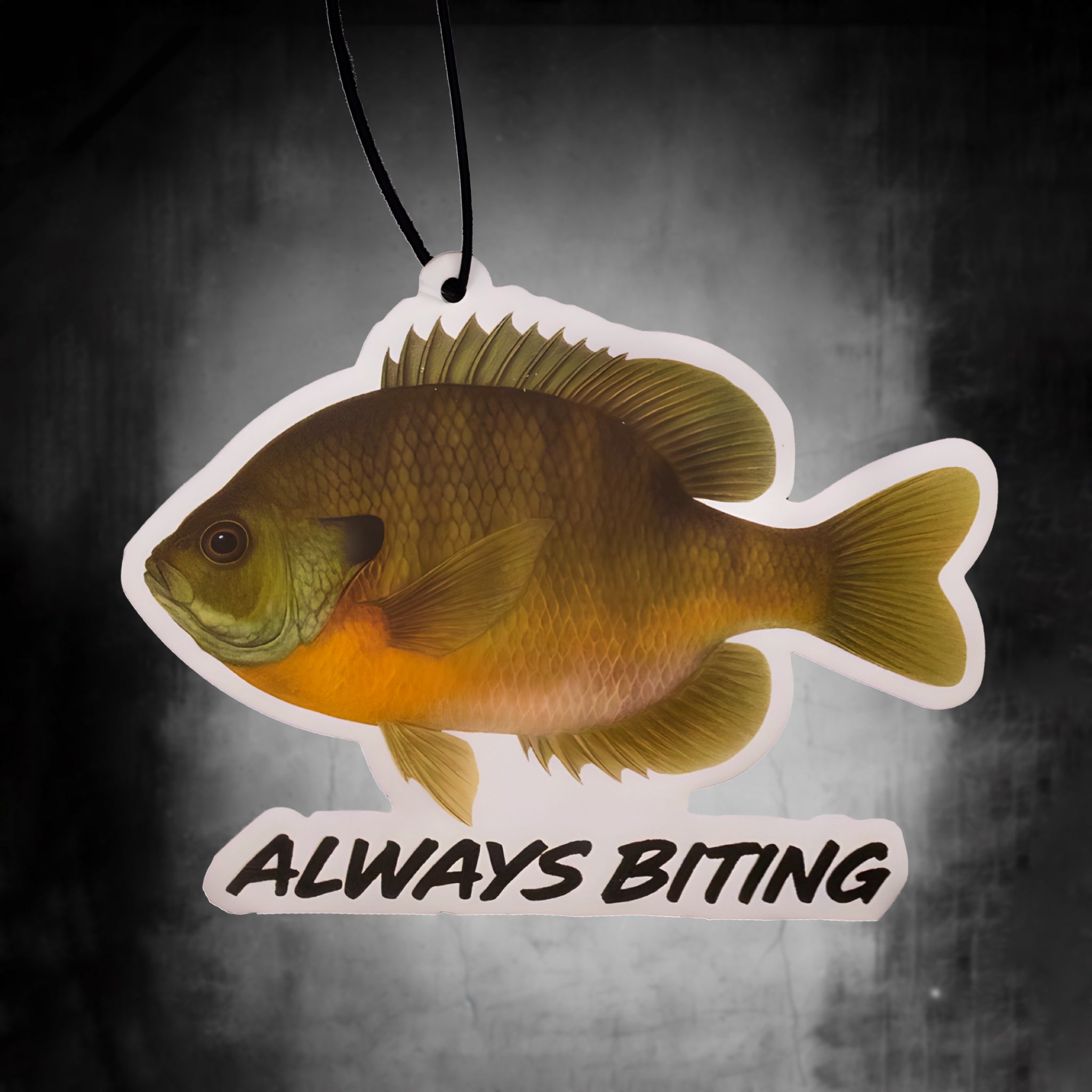 Bluegill - Blueberry Scented